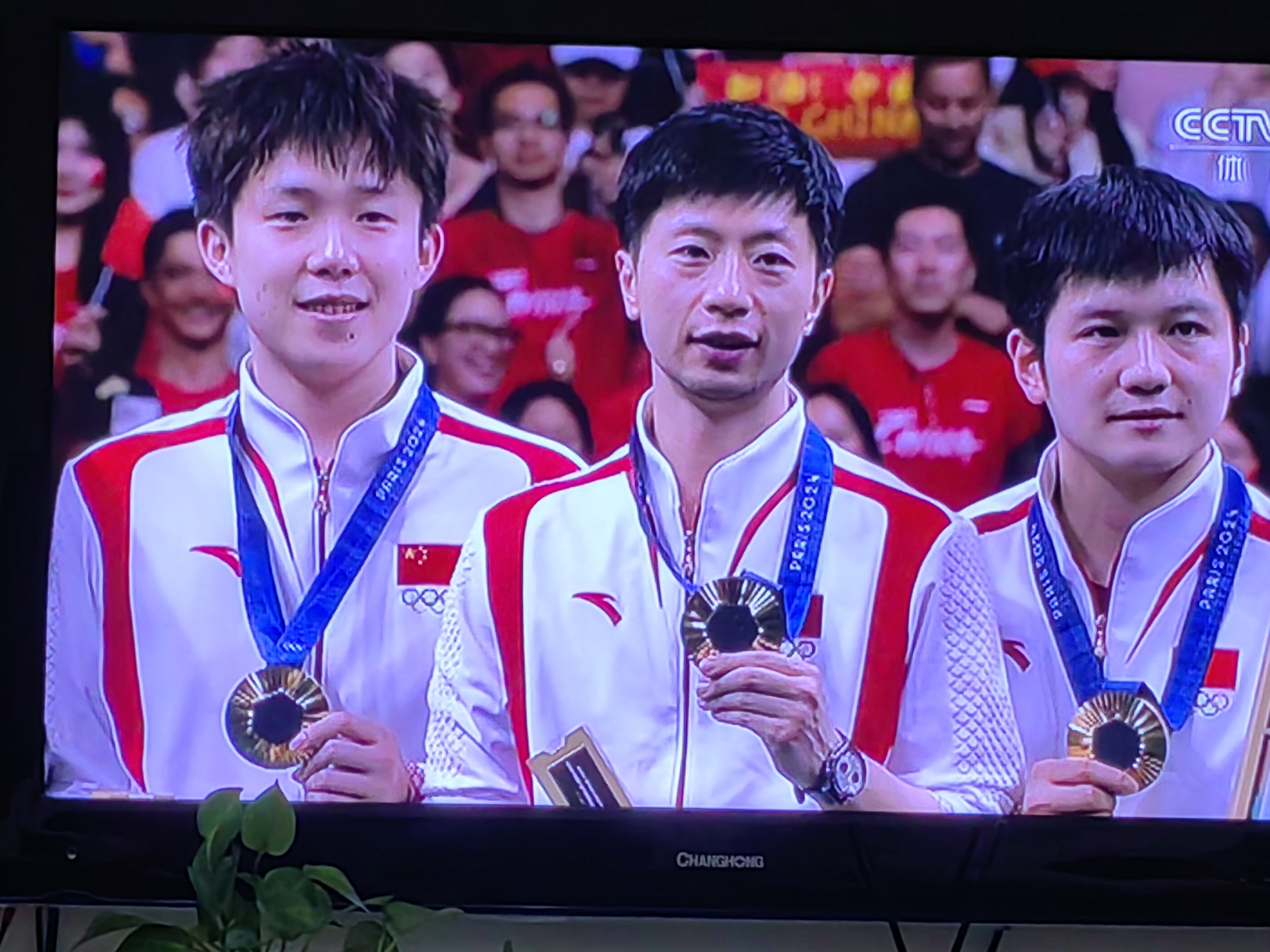 瑞典乒乓球队险胜韩国乒乓球队,马龙爆发神勇的简单介绍 瑞典乒乓球队险胜韩国乒乓球队,马龙爆发神勇的简单介绍