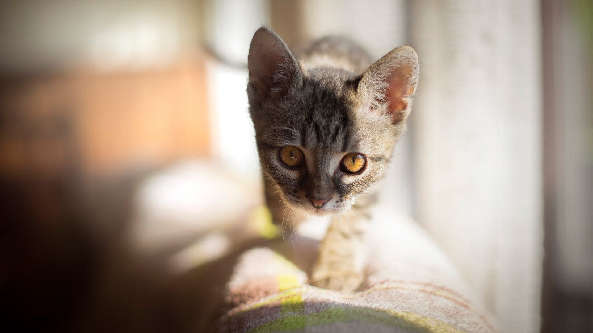 银箭与绿宝石的黄昏，汉密尔顿的纪录之夜与阿斯顿马丁的逆袭宣言