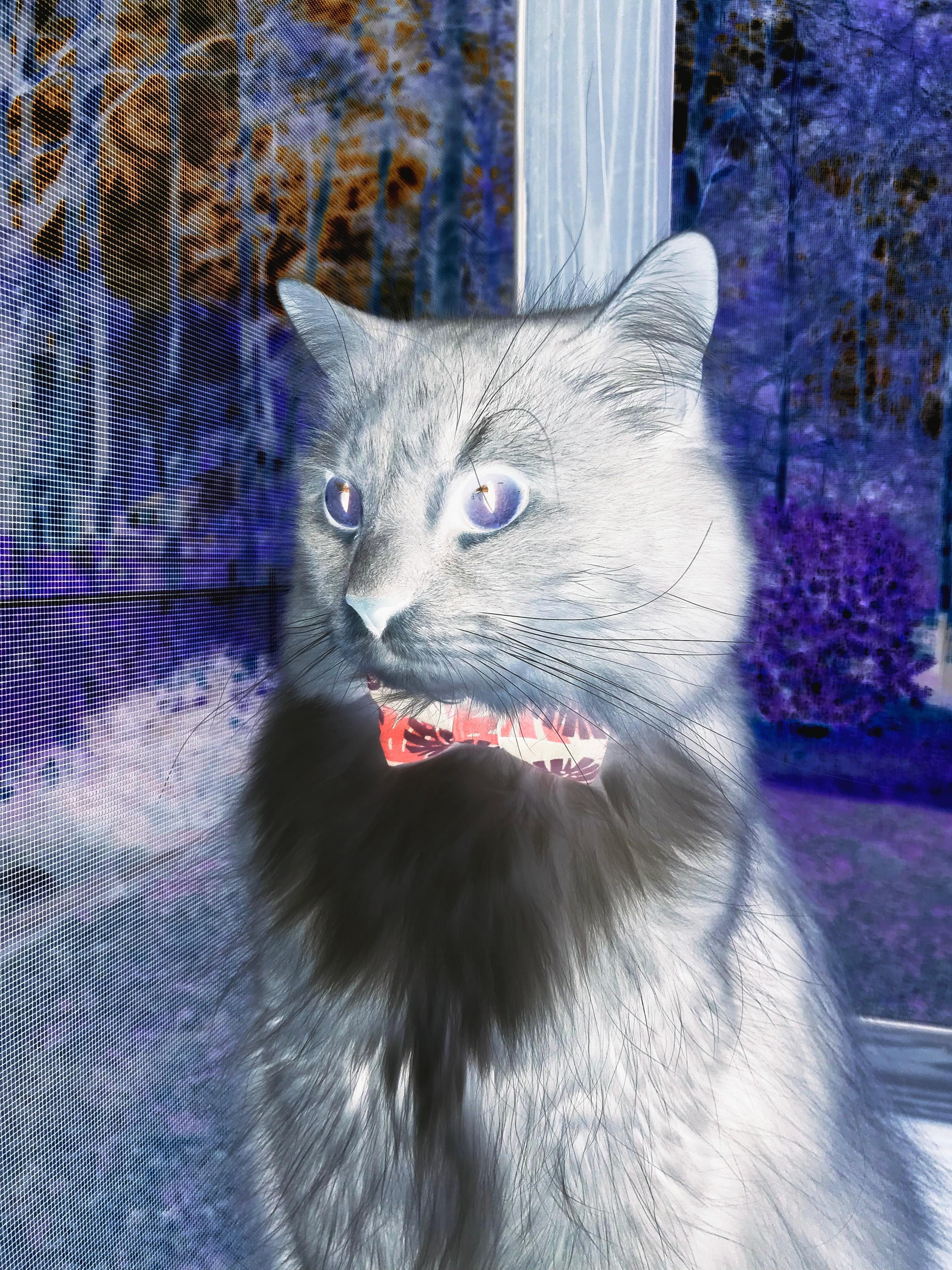 印尼队力克丹麦队，李梓嘉高光时刻背后的团队觉醒