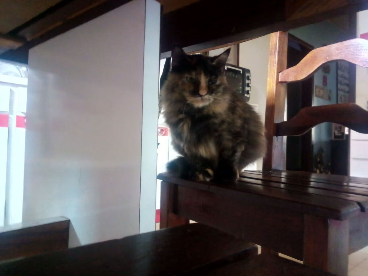 德甲争冠焦点战中的凯尔特人强压老鹰启示，跨越运动的竞技哲学