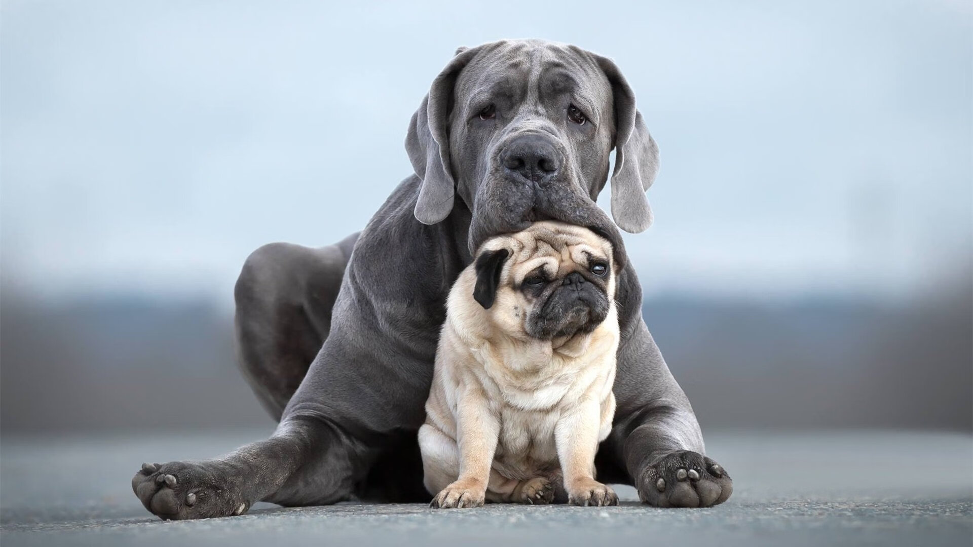 针尖对麦芒，西亚卡姆如何以唯一性防守，为湖人定下胜利基调
