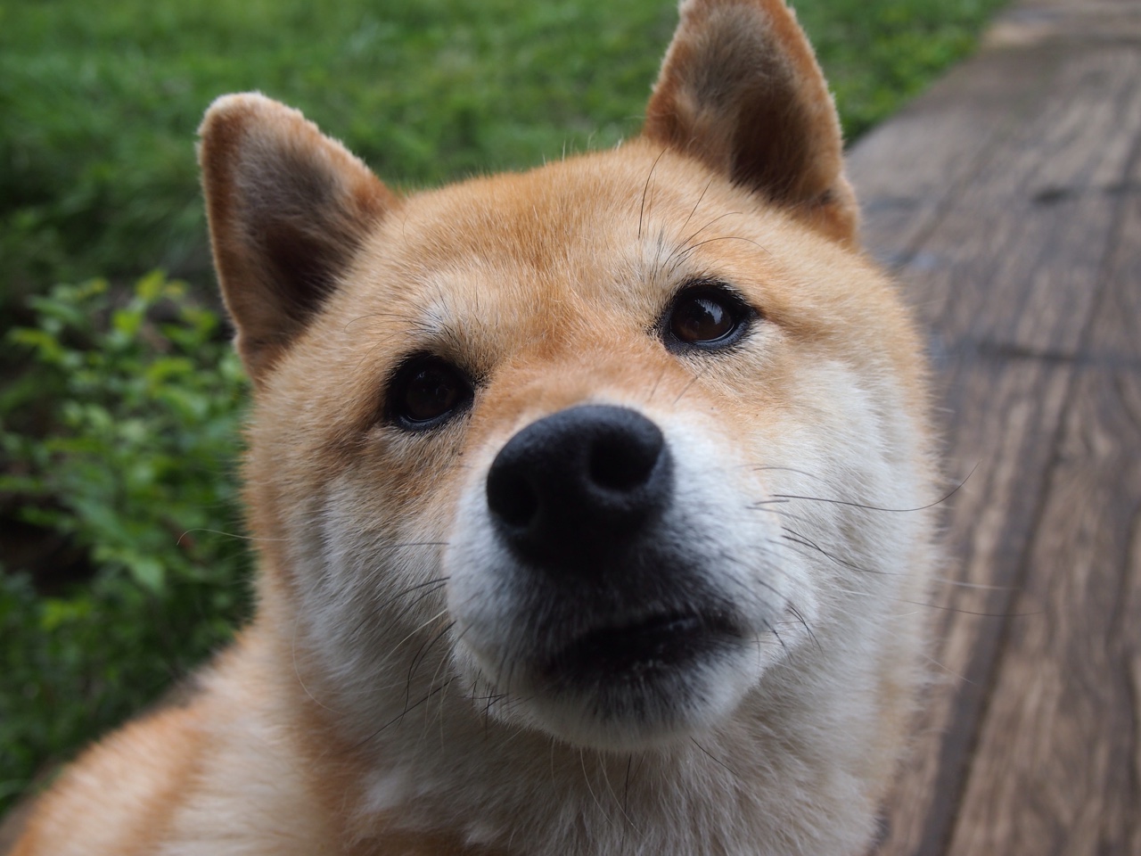 利刃与罗网，伦纳德关键节点连续得分 vs 鹈鹕节奏掌控开拓者