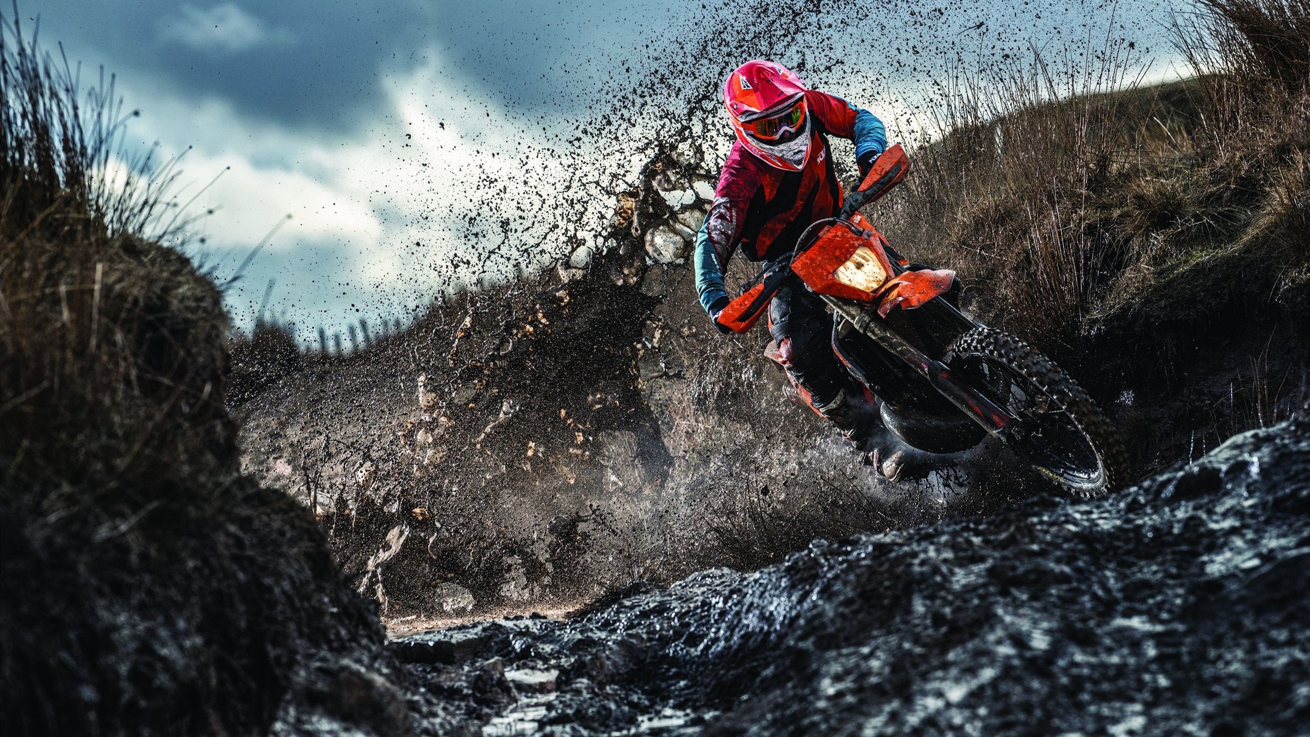 新旧势力交替，哈利伯顿登顶焦点战，鹈鹕掀翻卫冕冠军掘金