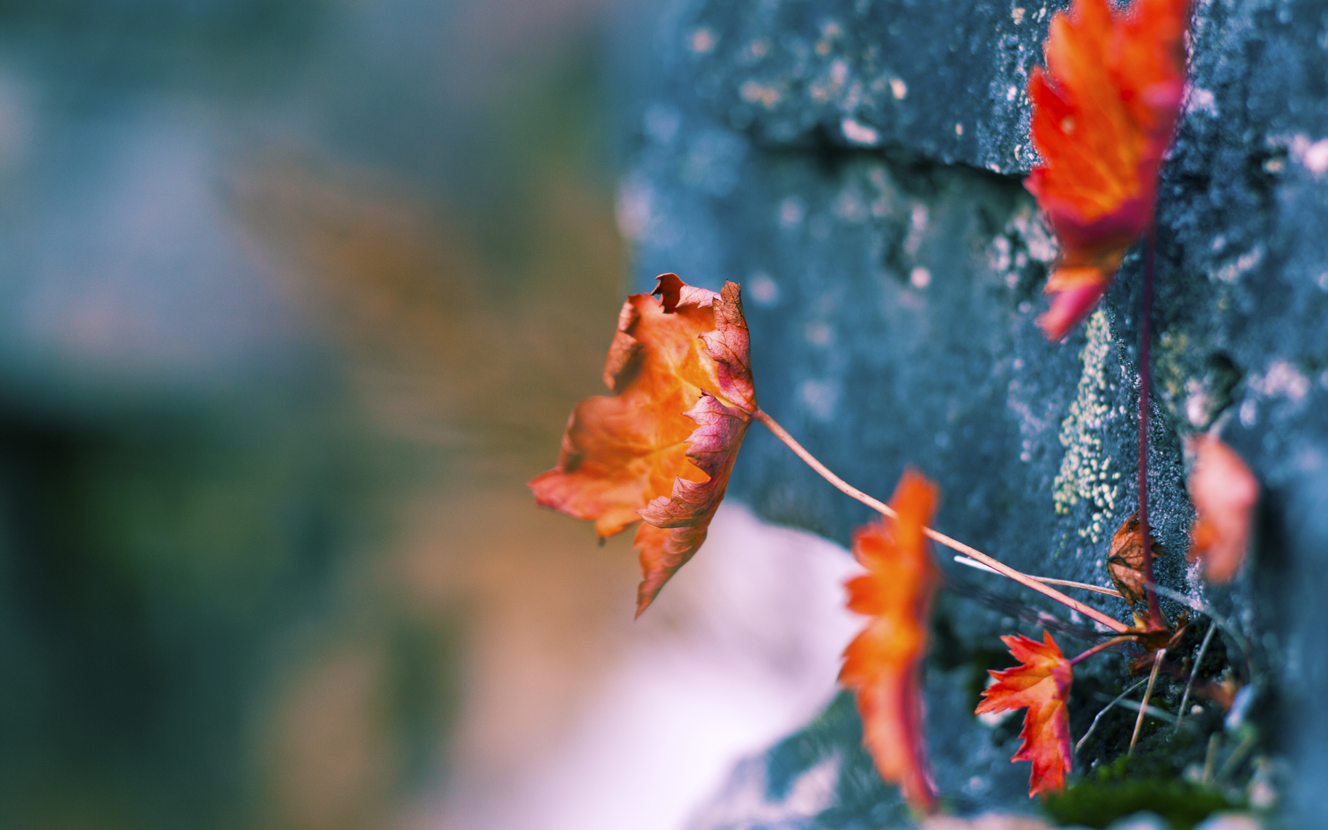 欧冠决赛的平行宇宙，当哥斯达黎加的战术熔炉压制摩洛哥的无冕风暴