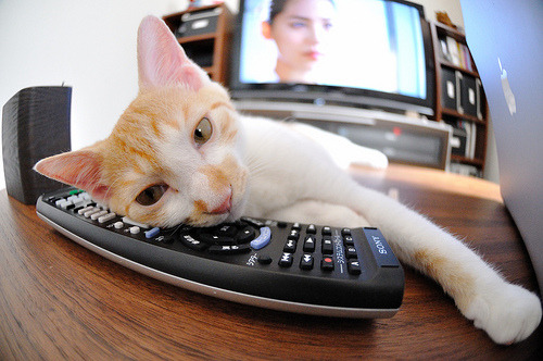 浙江团队粉碎机与锡安硬仗之王，两种胜利逻辑的隔空对话