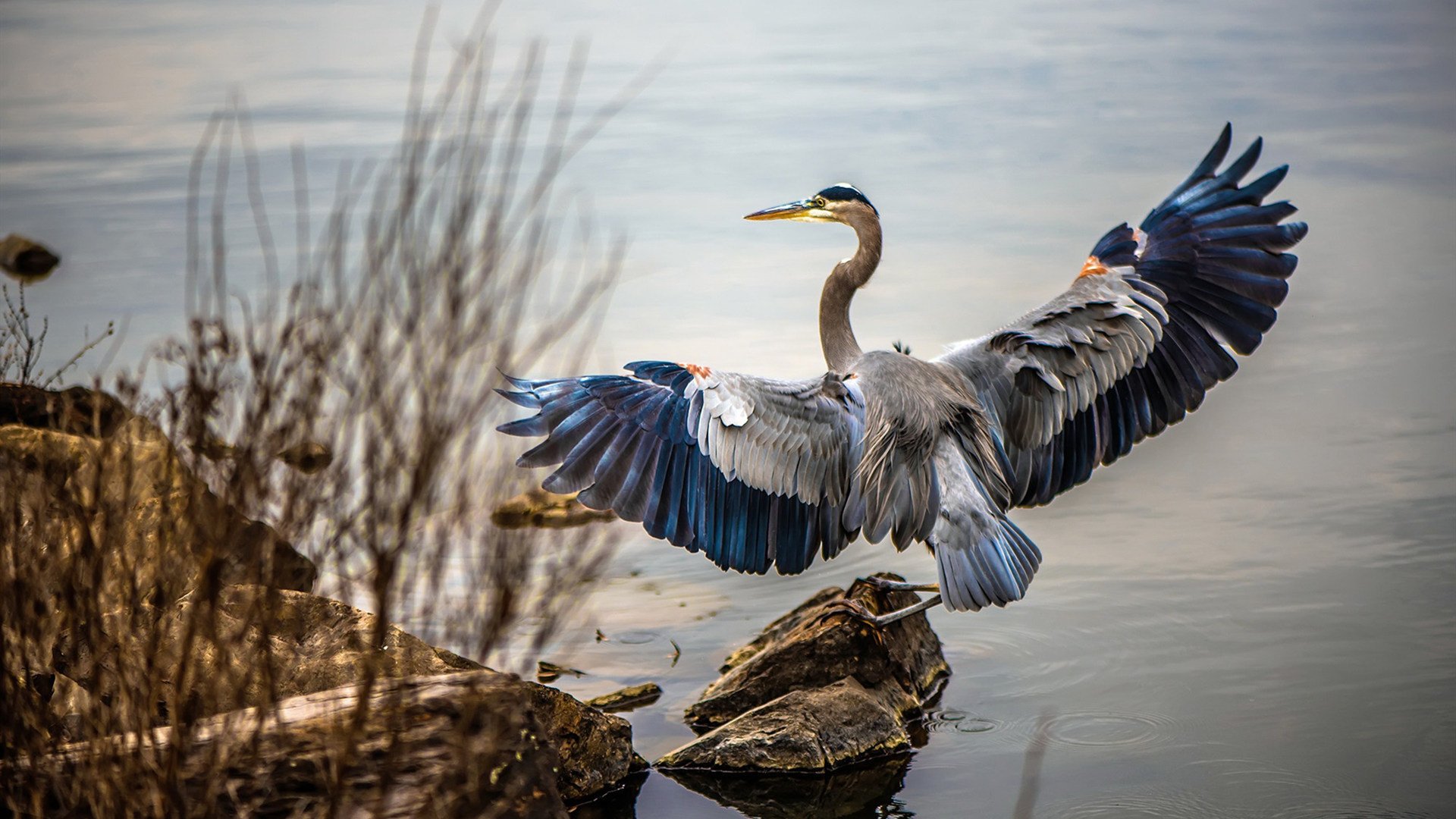 奥斯梅恩制胜一击点燃墨西哥之夜，皇马关键战突围显王者风范