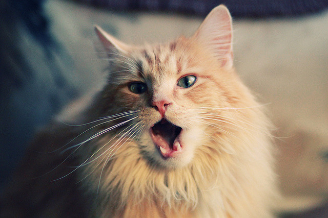 逆转之夜，德意志战车末路狂飙，富安健洋一肩扛起东亚尊严