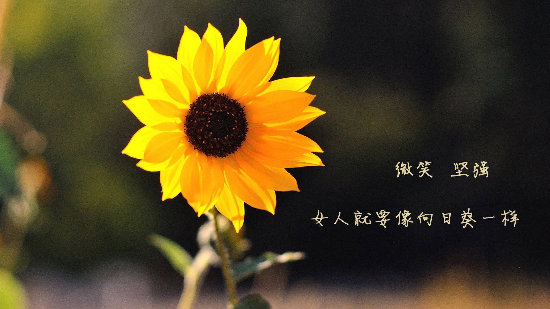 从迷茫到主宰，杰伦·格林如何在对阵马刺的夜晚完成自我救赎？