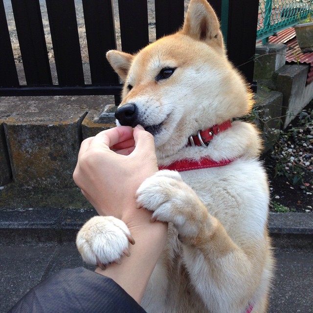 伊布任意球宣判旧主，毕尔巴鄂绝杀塞维利亚，唯一性的新王诞生