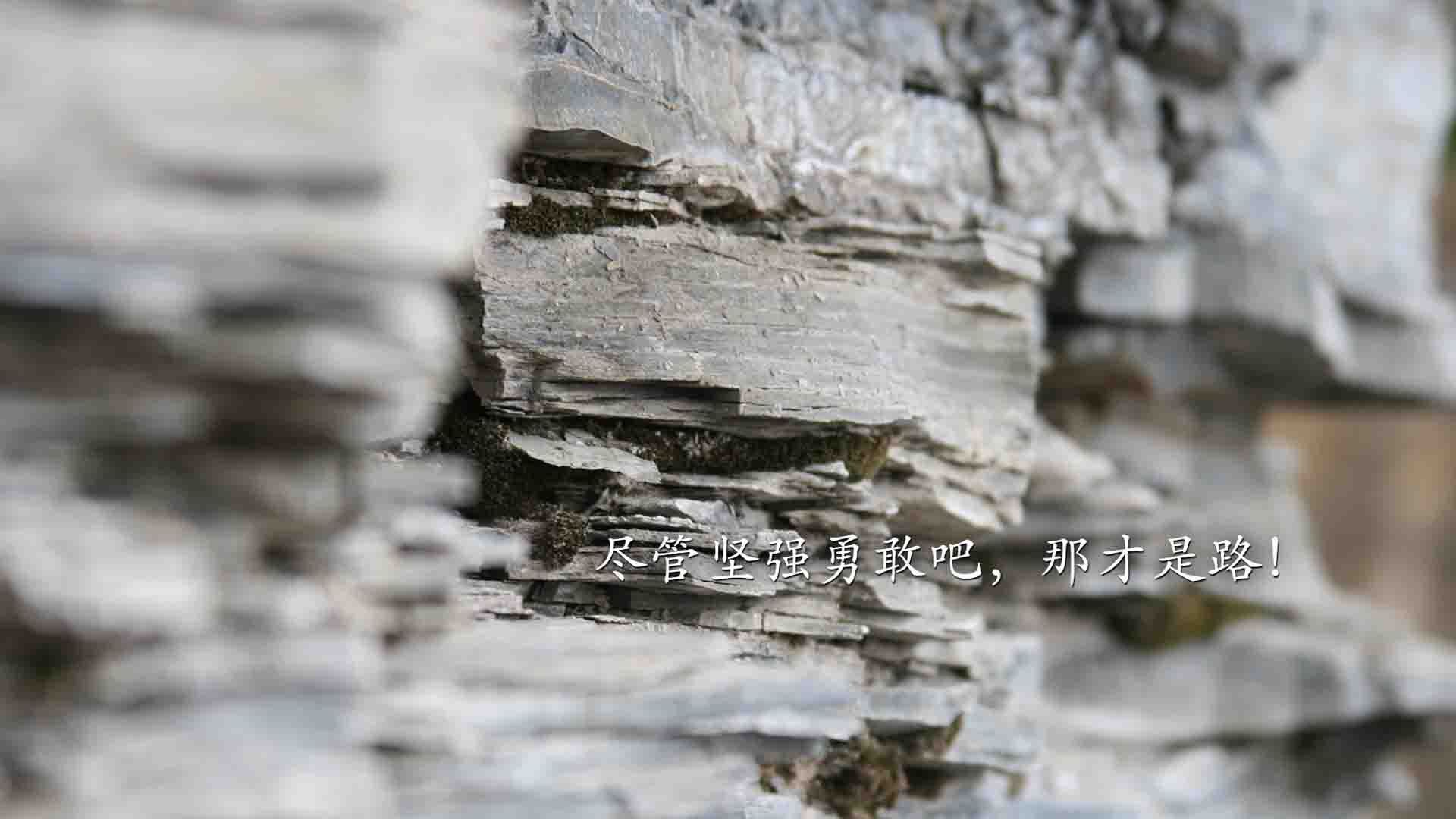 荒漠中的橙衣风暴，2026世界杯A组，德容指挥下的荷兰如何用足球美学碾压摩洛哥