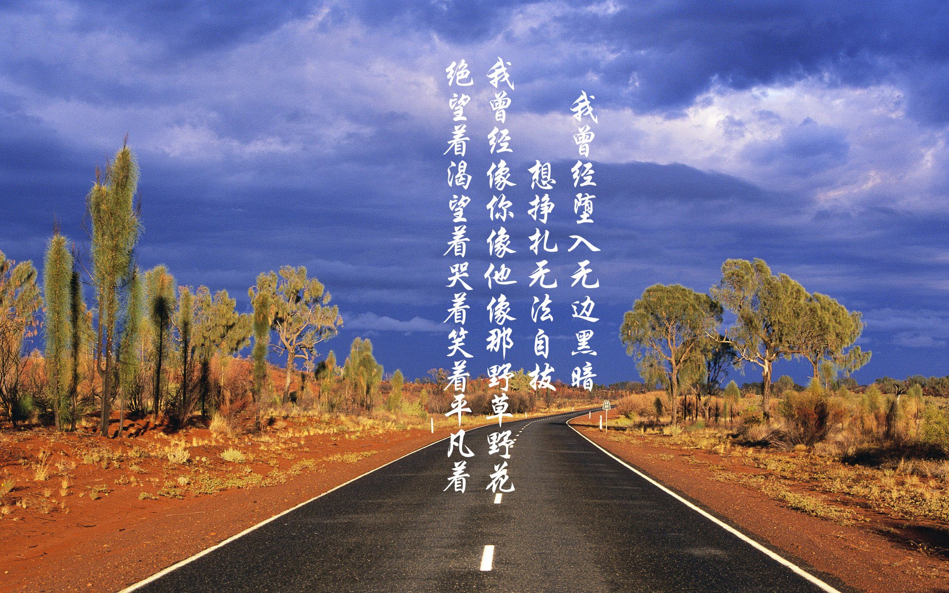 枫叶之刃刺破波斯铁骑,2026世界杯焦点战,加拿大险胜伊朗,努涅斯一球成名